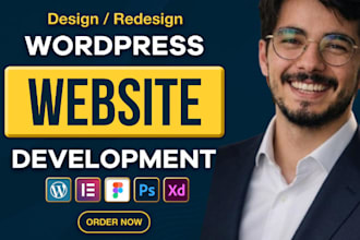build a premium wordpress website with mobile responsive and speed optimization
