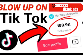 do tiktok promotion, promote tiktok, active tiktok followers, tiktok chatters