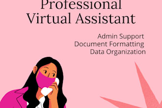 provide administrative and document support