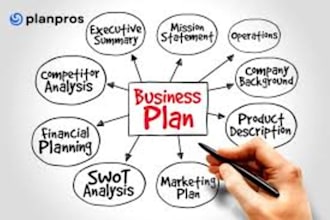 develop an investor ready business and startups plan