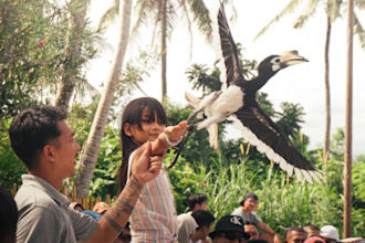 color grade your photos