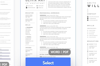 make professional resume and CV , same day delivery
