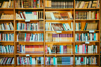 write political science,essay, government, relations and politics