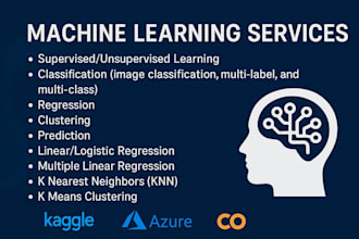 offer professional ml consulting and project implementation