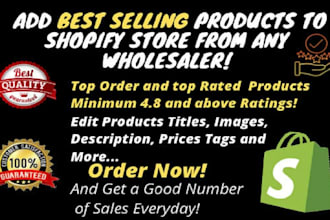 shopify winning best selling dropshipping listings