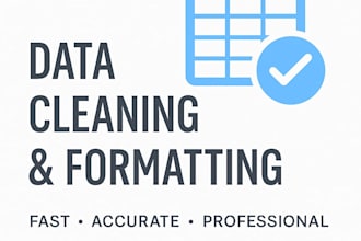 automotive data clean up