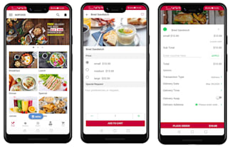 develop a complete food delivery app with tracking and payments