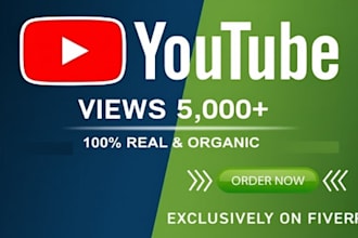 5000 organic youtube video views from usa