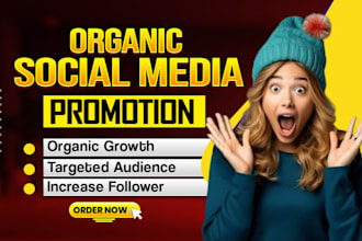 increase social media followers