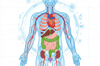 draw anatomy and medical vector illustrations