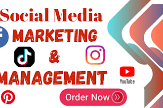 manage social media marketing social media ads content content creator manager