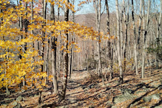 enhance your natural photos