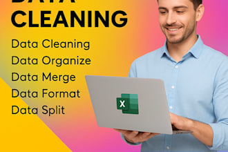 clean and organize excel data for business and professionals