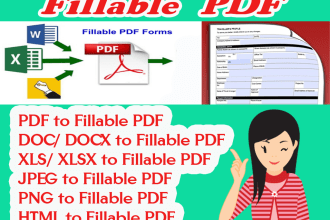 design or making fillable PDF form professionally