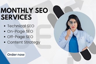 provide monthly seo service
