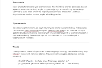 translate from polish to english, and vice versa