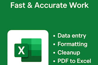 do professional excel data entry, clean up, formatting and spreadsheet