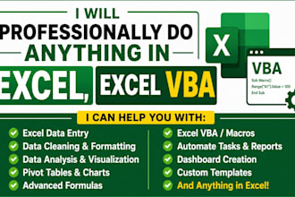 professionally do anything in excel, excel vba