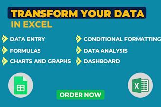 professionally do anything in excel, excel vba