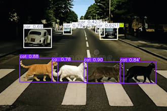 do object detection, image classification, tracking, and segmentation