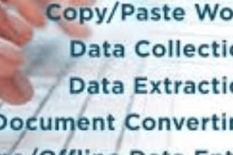 reliable in data entry and cctv monitoring accurate vigilant  and trustworthy