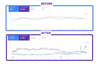 deliver complete monthly SEO service for any website ranking