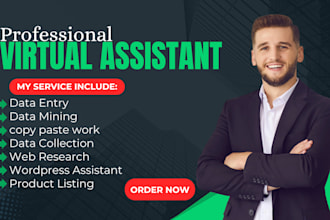 be your KDP and airbnb virtual assistant