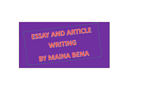 write and edit essays and articles for you