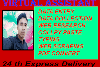data entry and web reserch