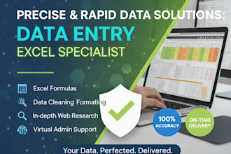 be your lightning fast and accurate data entry and excel specialist