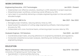 design a professional modern CV in quick time