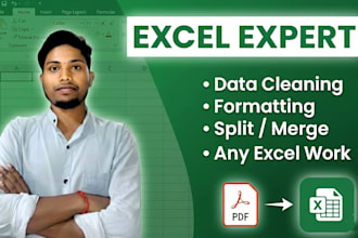 clean, format, merge and organize excel data professionally