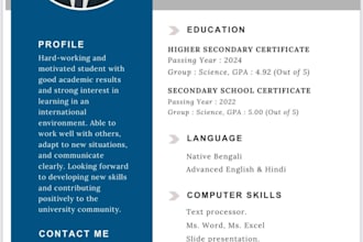 design an eyecatching creative and effective CV
