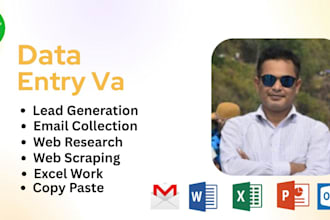 do data entry VA, email collection and lead generation