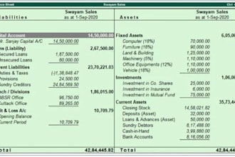 professional bookkeeping and account management