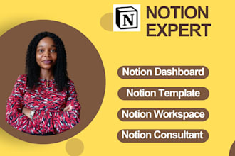 design and organize your notion  template, dashboard