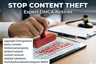 send expert dmca takedown notices to remove copyright infringement