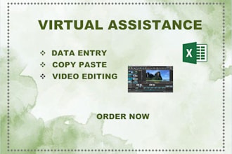 do data entry and video editing