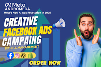 setup and manage shopify facebook ads campaign, GTM
