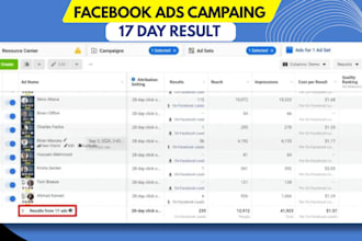 setup and manage shopify facebook ads campaign, GTM