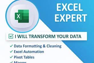 data entry, automation, formulas, dashboard, formatting, vba