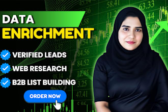 provide data enrichment and enriched contacts for b2b leads