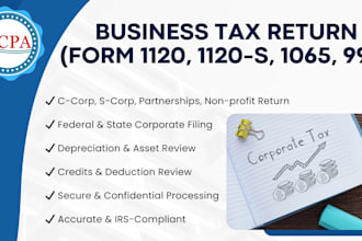 prepare and file your c corp s corp partnership non profit tax return