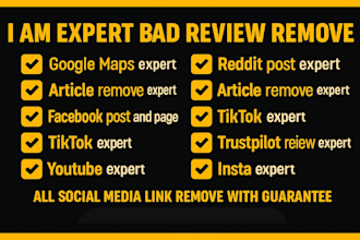 file a professional dmca takedown to remove stolen content