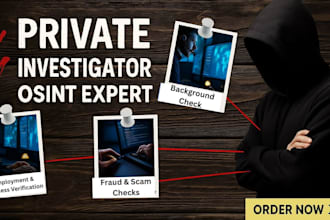 provide background checks and private investigation services with accuracy