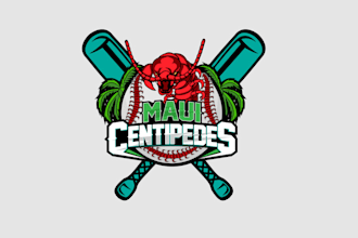 design professional baseball team logo