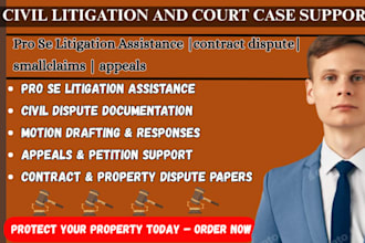 be civil litigation attorney pro se litigation assistance and court case support