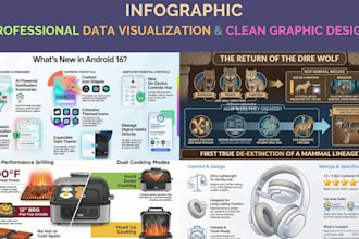 design professional infographic designs