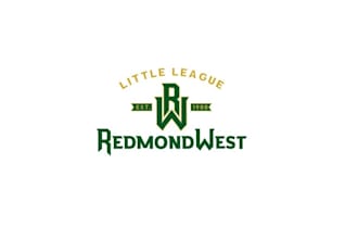 design little baseball league logo