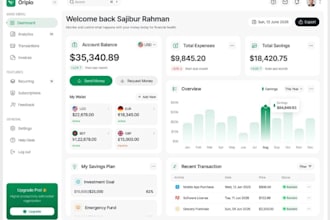 software developer, crm, hrm, ai saas app, ai agent, pos, web app, erpnext
